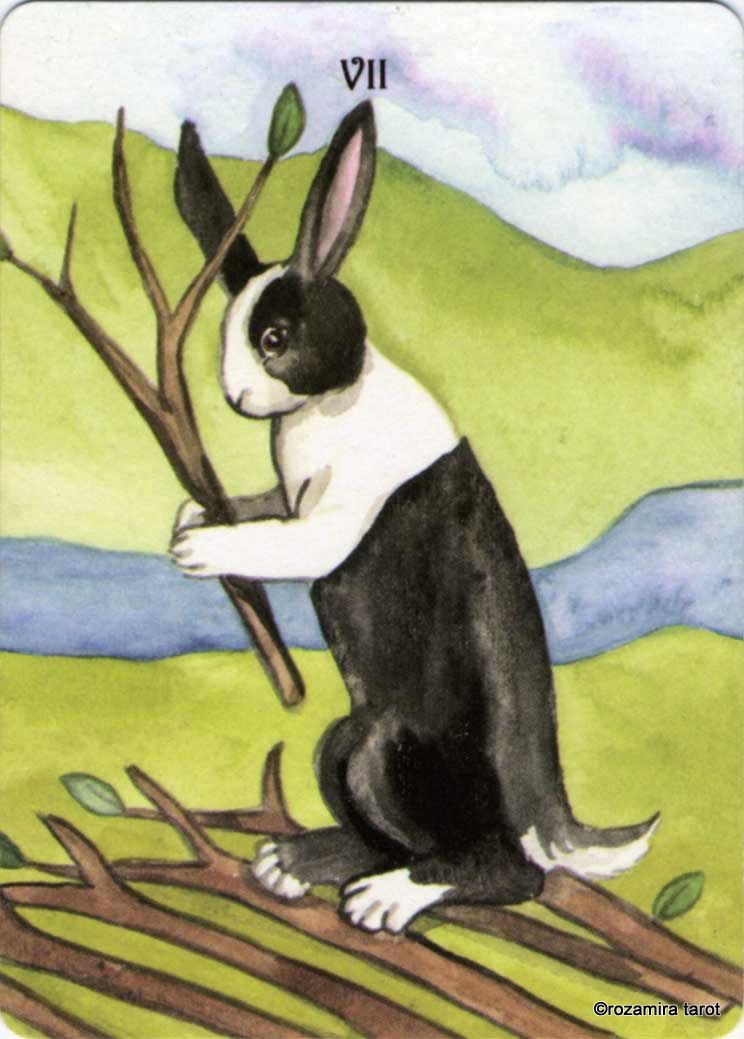 Rabbit Tarot